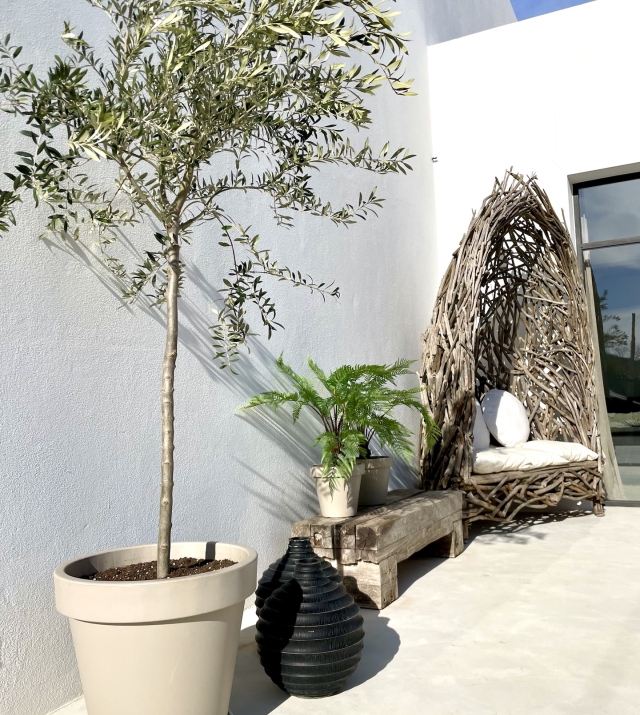 Resa Estates Ibiza te koop sale villa san augustin detal 1.jpg